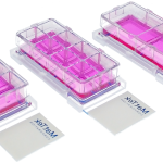 three chambered cell culture slides in 2-well, 4-well, and 8-well formats